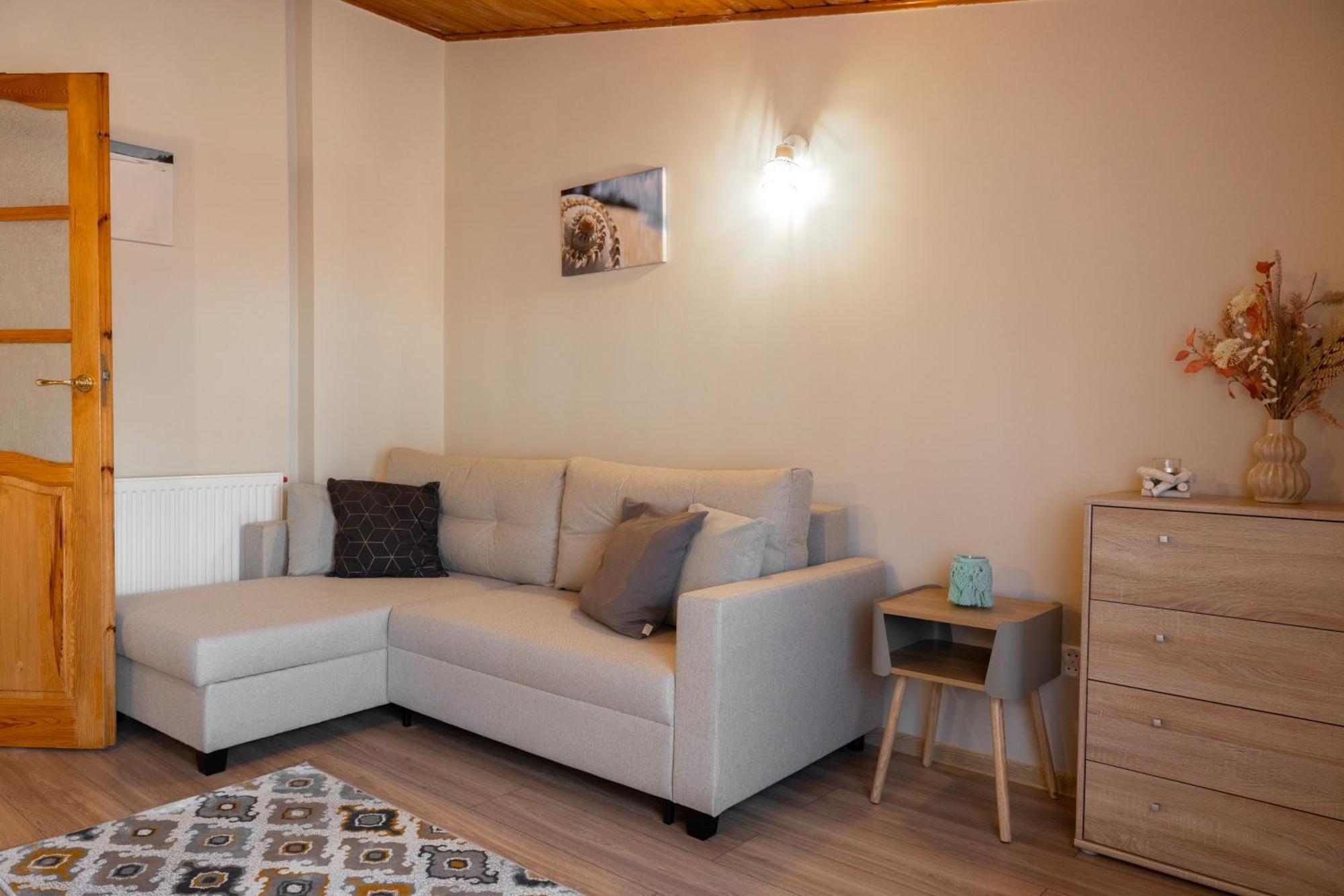 Apartament U Ani 1 Dzwirzyno Bagian luar foto